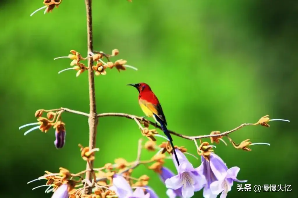 青山一道同云雨，明月何曾是两乡（6首赠别酬答诗词优美）