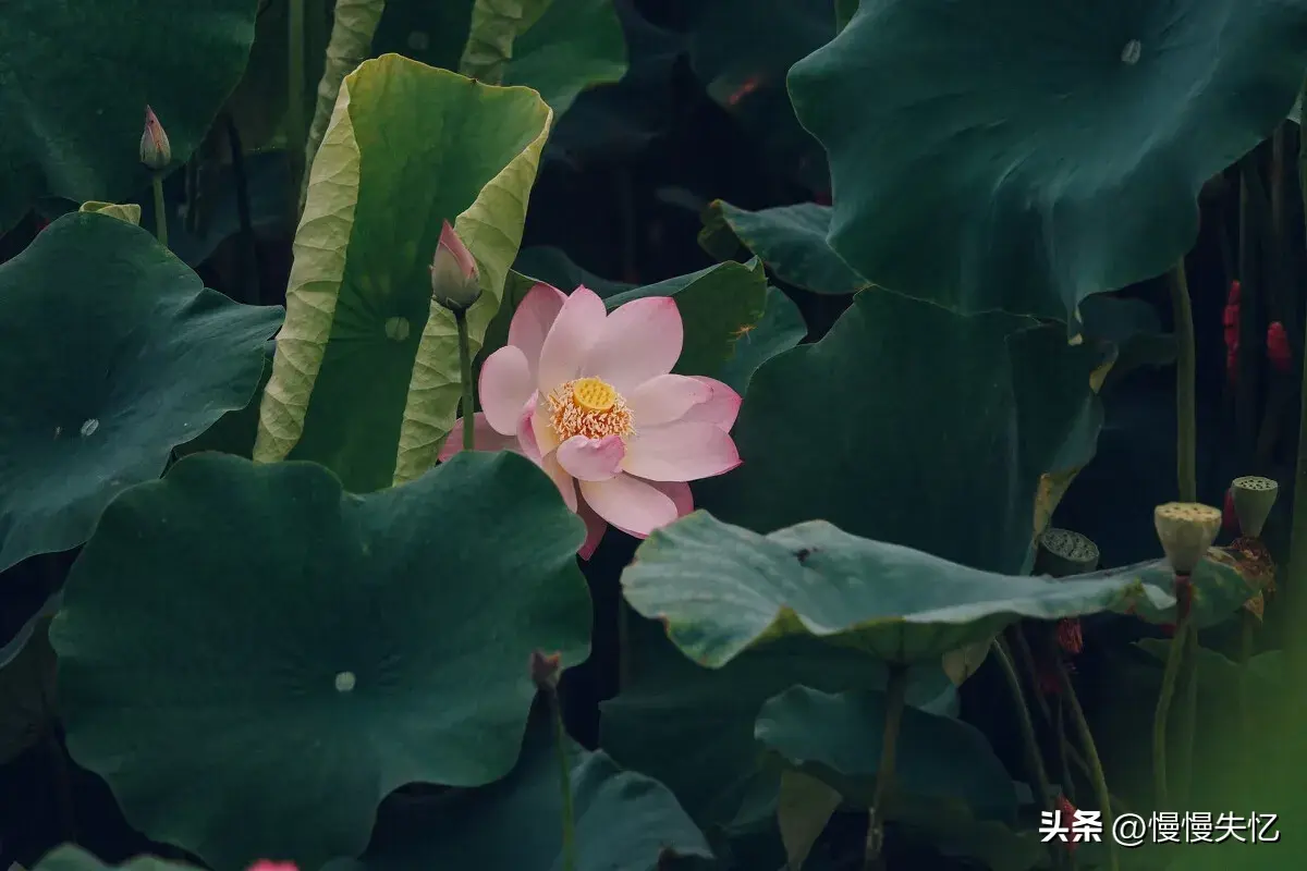 青山一道同云雨，明月何曾是两乡（6首赠别酬答诗词优美）