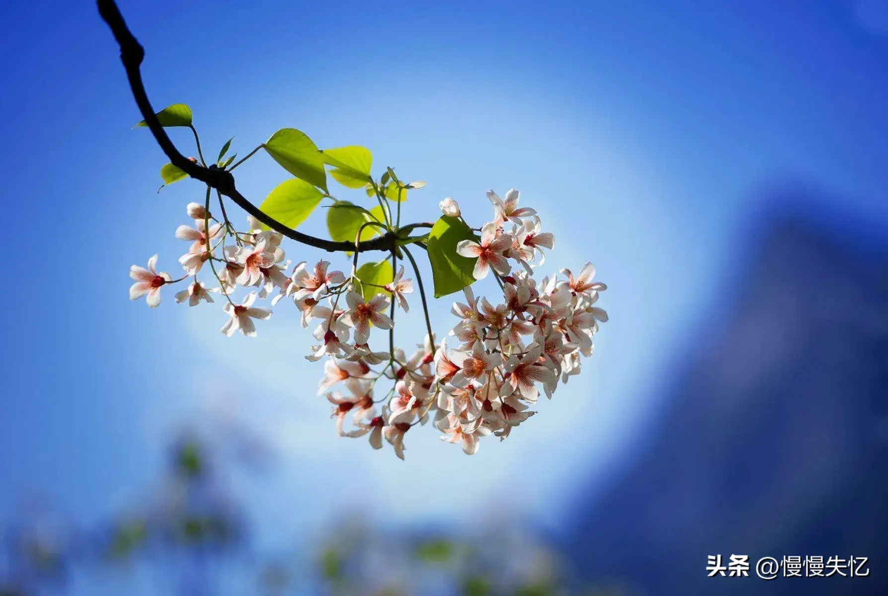 青山一道同云雨，明月何曾是两乡（6首赠别酬答诗词优美）