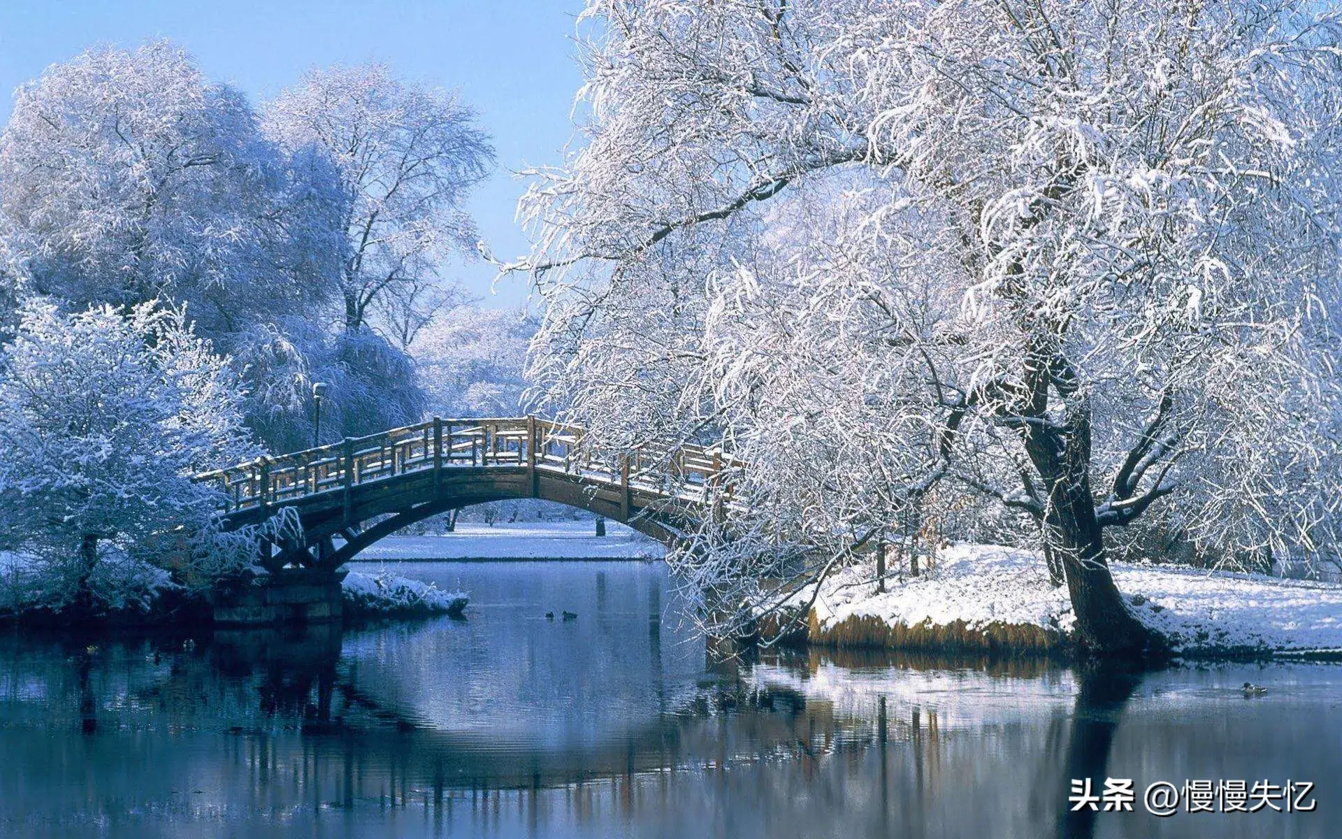 朱淑真7首冬雪诗词（一树梅花雪月间，梅清月皎雪光寒）