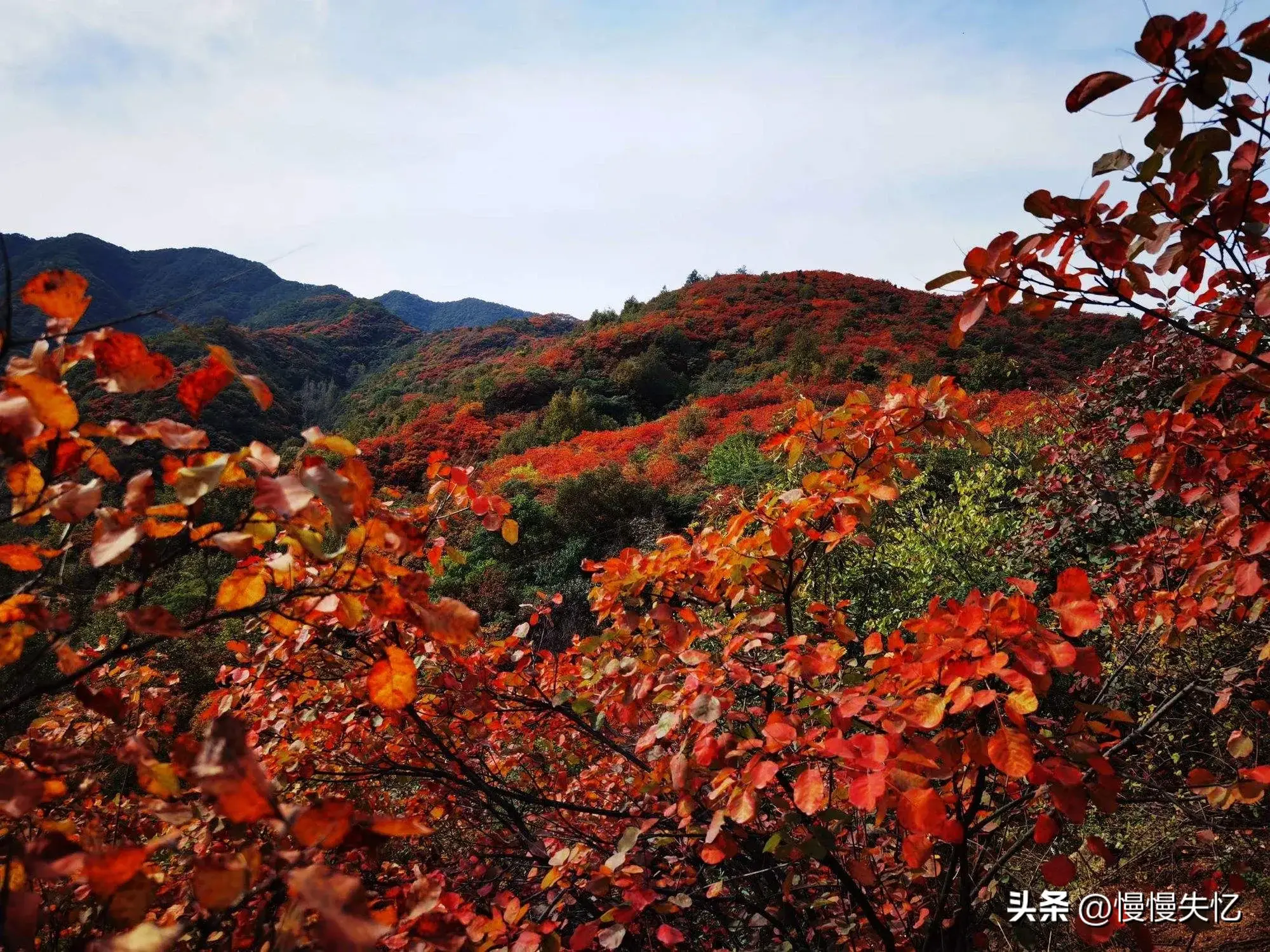 秋日诗词名句有哪些（17首唯美秋日诗词）