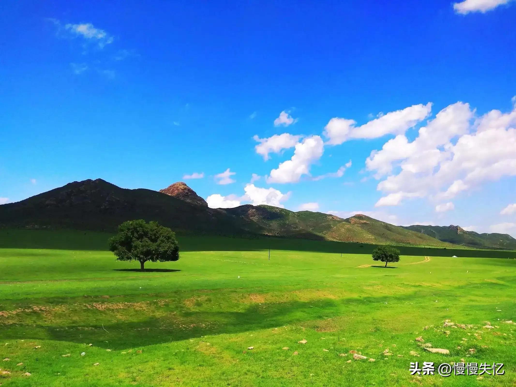 春风吹碧，春云映绿（五首春草宋词优美）