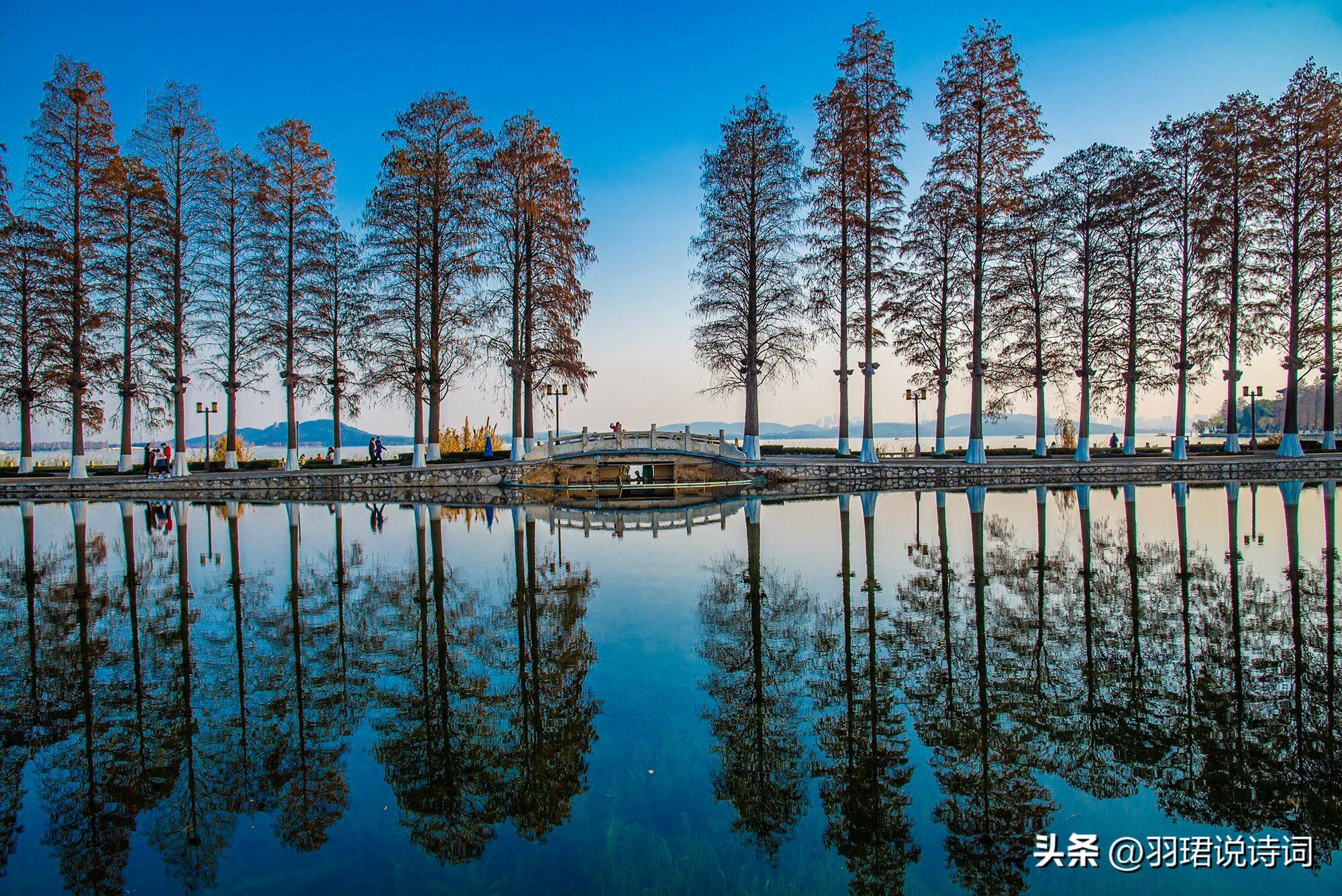  我见青山多妩媚，料青山见我应如是（13首辛弃疾的经典古诗词）