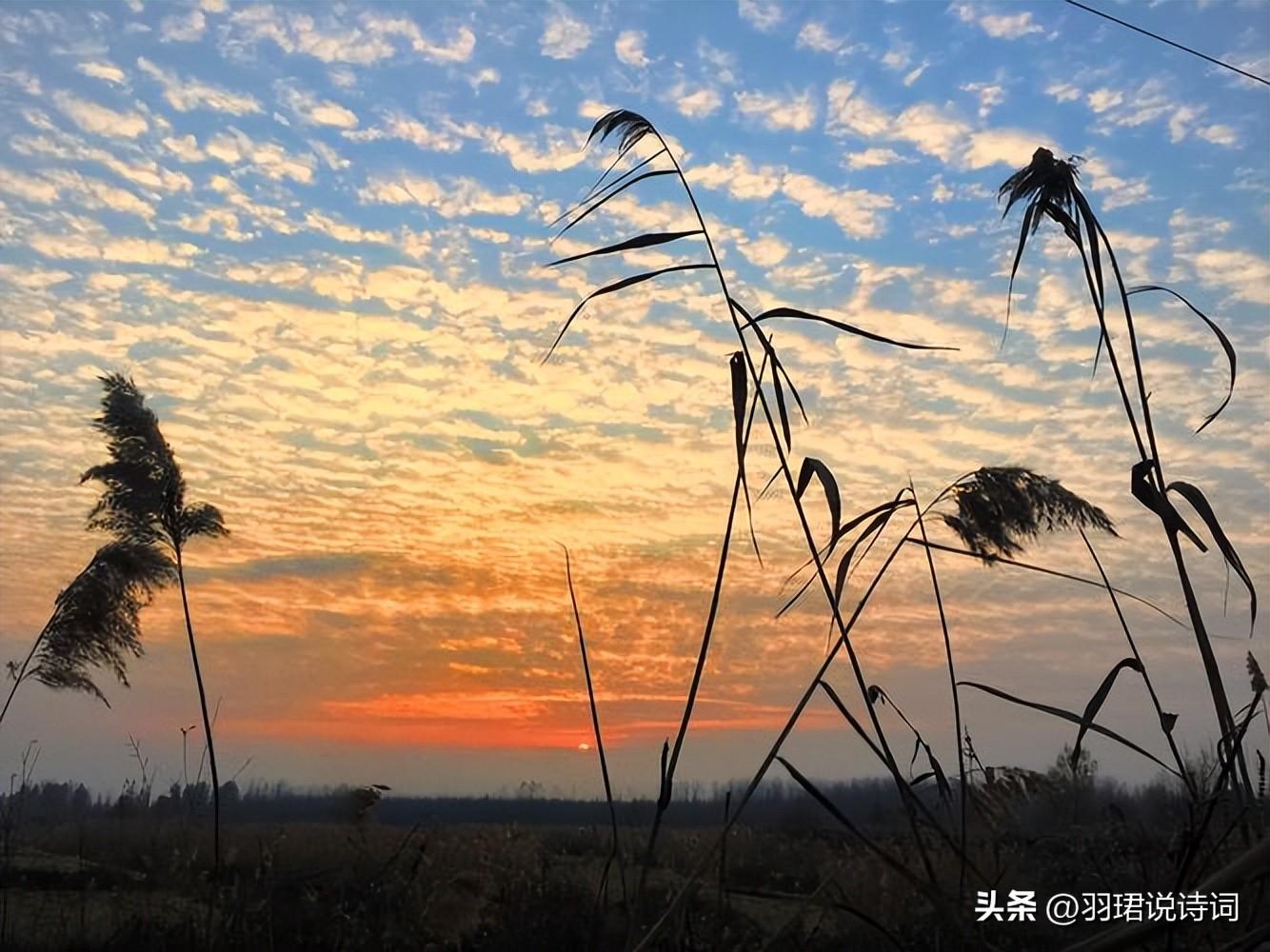  我见青山多妩媚，料青山见我应如是（13首辛弃疾的经典古诗词）