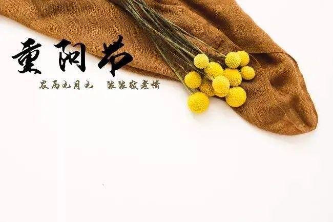 关于重阳节的朋友圈文案（重阳节朋友圈好句句子）