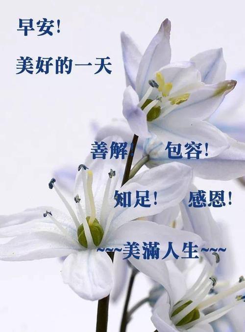 重阳节的早安说说（重阳节朋友圈早安语录好句）