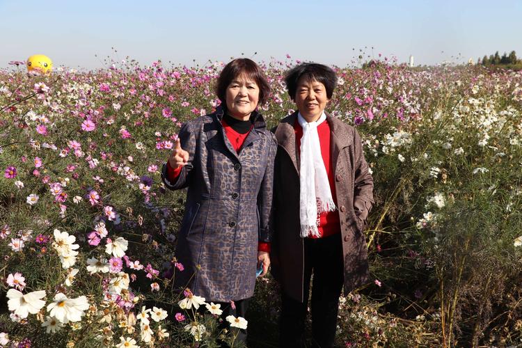 重阳节的句子经典语录（用句子为重阳节添上浪漫情怀）