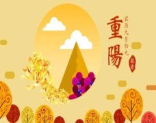 重阳节句子大全祝福语（九九重阳节祝福语——唯美短句荟萃）