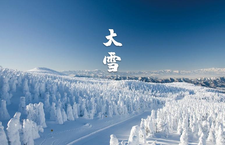 二十四节气大雪祝福语（白茫茫一片——大雪节气祝福短信）