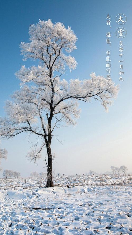 大雪的节气送祝福问候语（2024大雪节气暖心祝福语——暖意扑面而来）