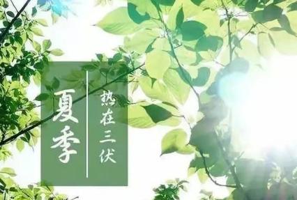 大暑节气问候语（相逢在2024大暑，祝福永相伴）