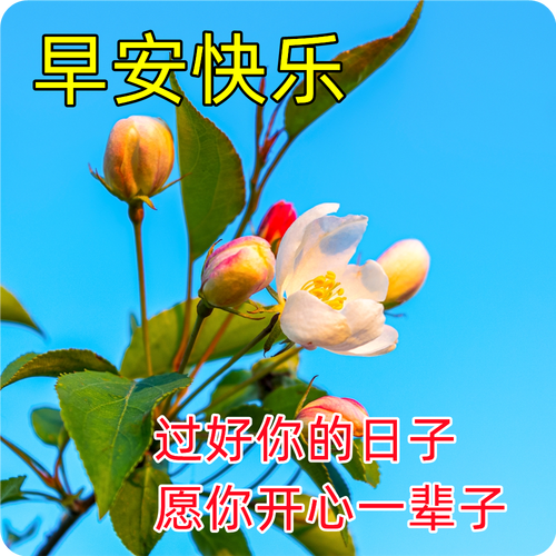 202年春节祝福语（送你温暖的问候——2024春节暖心祝福）