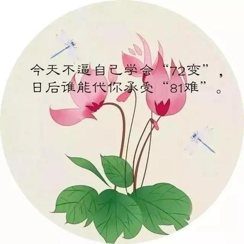 朋友圈祝福高考学子祝福语（流年逝水，青春不散场）