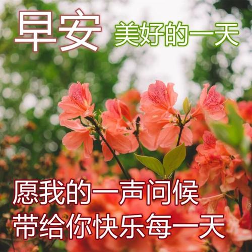 早安问候温暖人心句子（清晨的美好祝福）