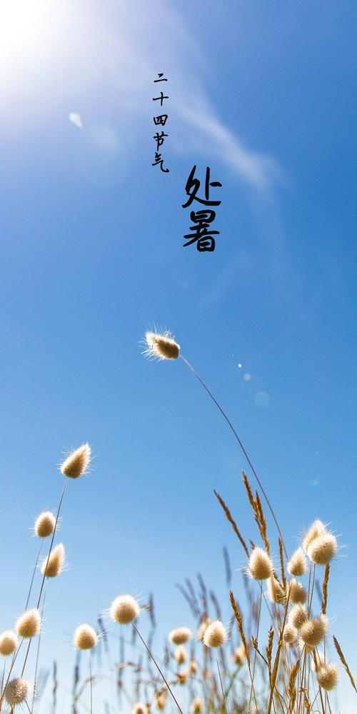 2024年处暑祝福语（处暑节气，愿你快乐安康）