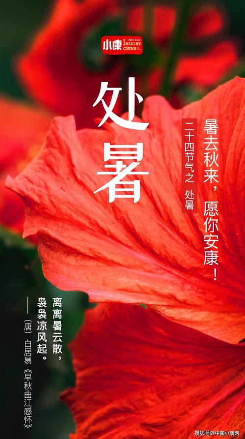 关于处暑节气的正能量语录（温馨祝福，芬芳祭福）