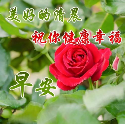 9月你好的说说几个字（花落清秋，心事如水——2013年九月美好时光）