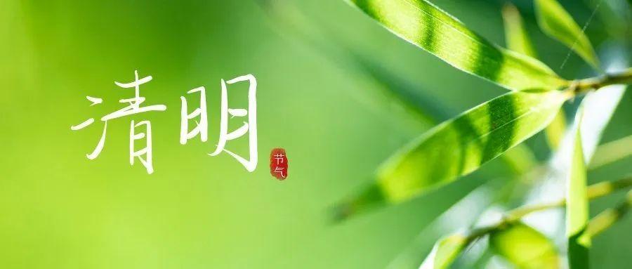 清明节思念亲人的句子说说心情（2024，清明节的思念）