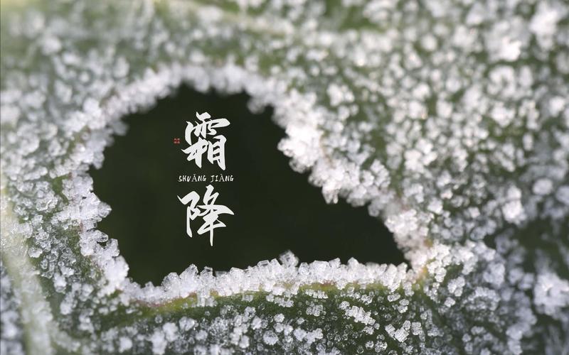 霜降节气的说说配词（最新2024霜降节气唯美好句）