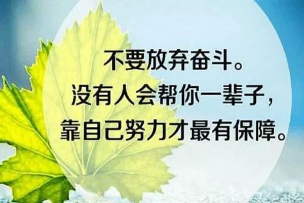 备战中考的励志的句子有哪些?（2024备战中考，梦想起航）