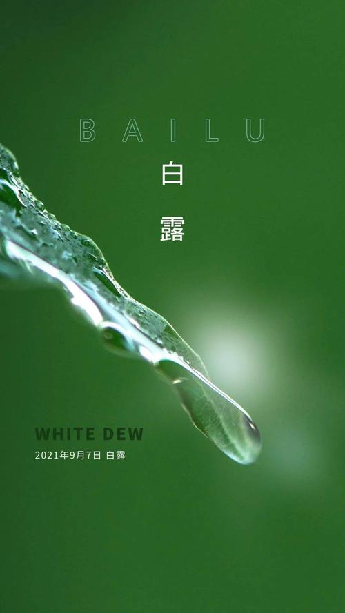 白露节气祝福语可复制（2024白露节气祝福语）