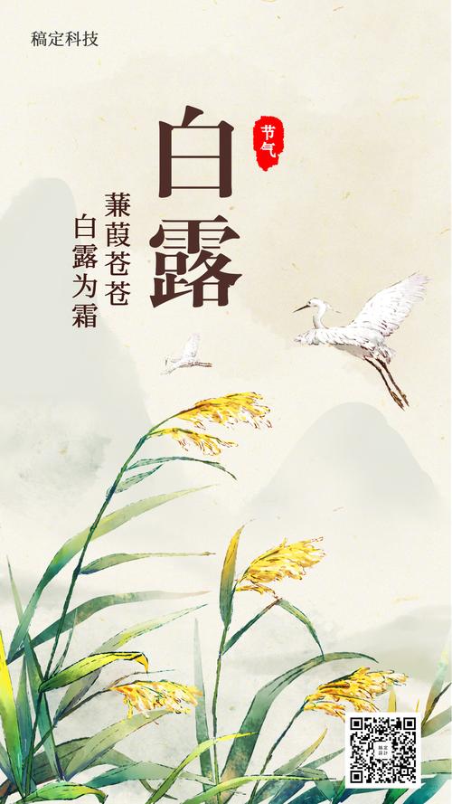 白露节气祝福语可复制（2024白露节气祝福语）