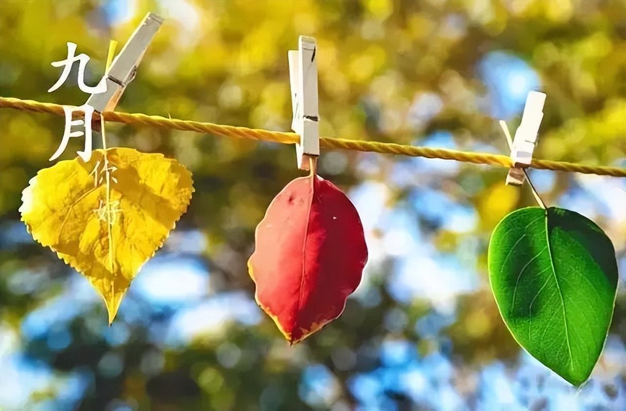 8月再见9月你好说说句子大全(图)（岁月更替，如诗如画）