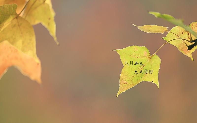 有关12月第一天的说说的好句有哪些（岁月轮回，梦想如初——12月天）