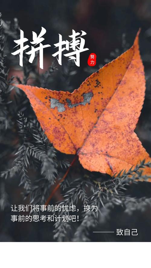 11月的最后一天说说怎么发朋友圈（送别岁末，迎接新生）