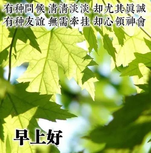 早上暖心短句 精美暖心早安短句（早安暖心话，感受生命的美好）