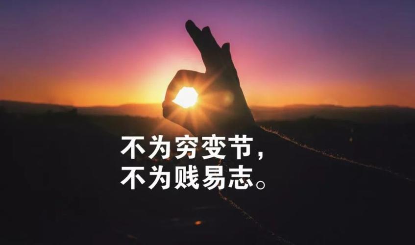 高三努力奋斗的文章（阳光高三，奋斗不止）