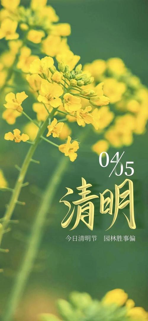 有关2024清明节的句子的短句英语（清明时节家家祭，忆往昔情满心间）