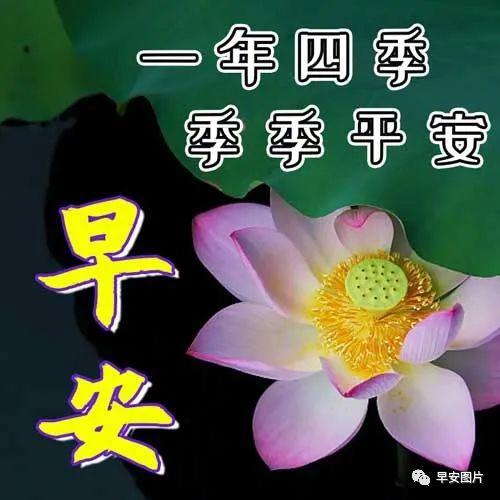 2024年早安祝福语简短霸气（唯美短句带你迎接美好未来）