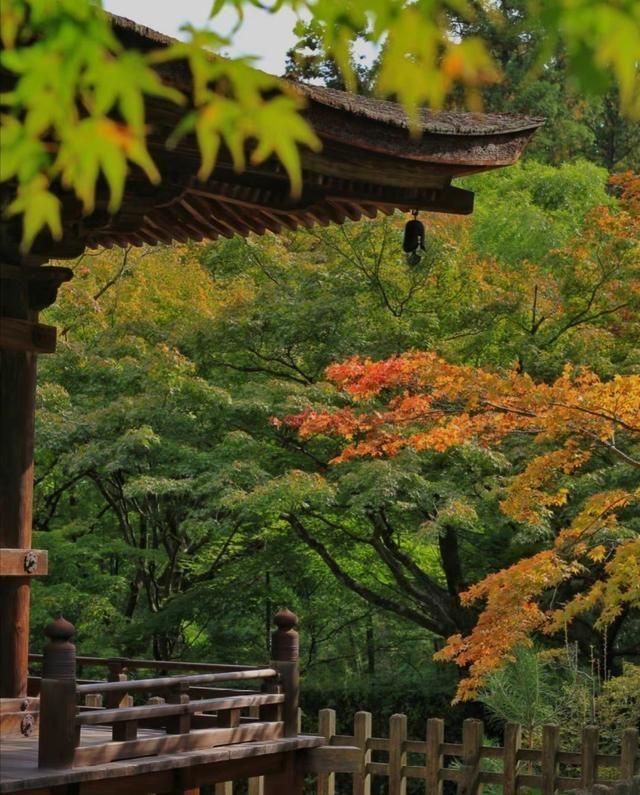 秋雨诗词名句大全（赞美秋天景色的诗句）