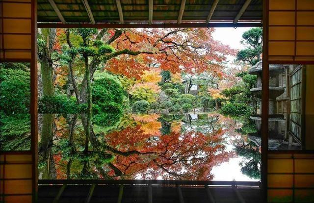 秋雨诗词名句大全（赞美秋天景色的诗句）