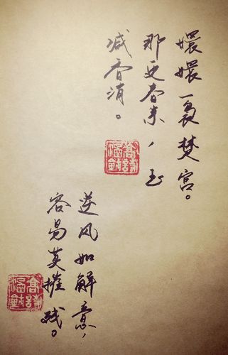 赞美书法的句子大全（笔墨悠然）