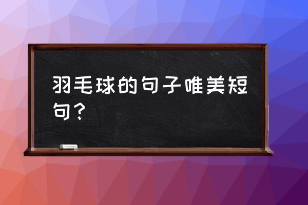 打羽毛球的经典语录（飞羽扬香——羽毛球唯美短句赏析）