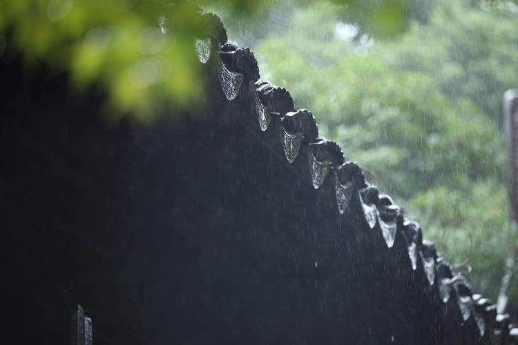 和雨有关的诗句表达励志（写下心灵的雨滴）