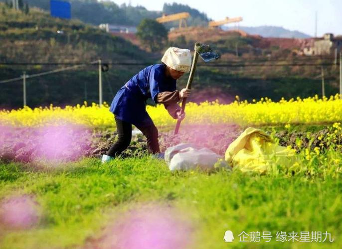 赞美农民的唯美语录（农民的美丽传说）