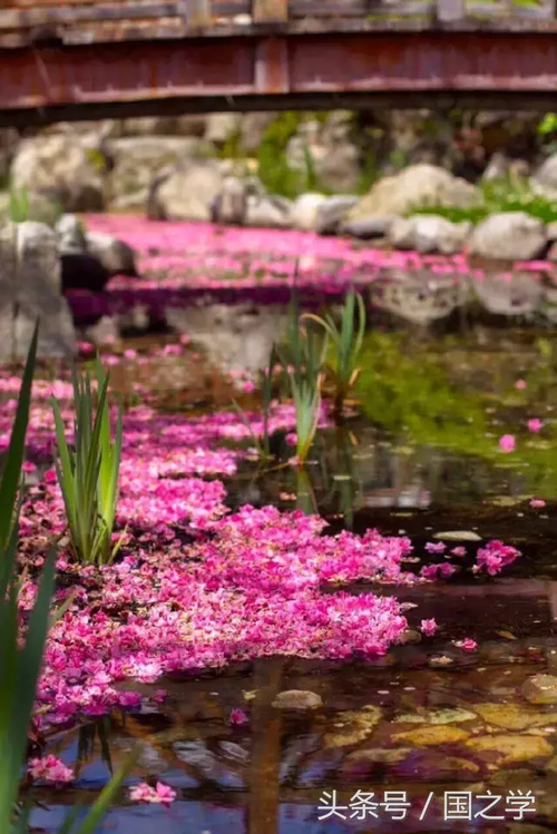 落花一地的诗句（落花飘香，唯美之景）