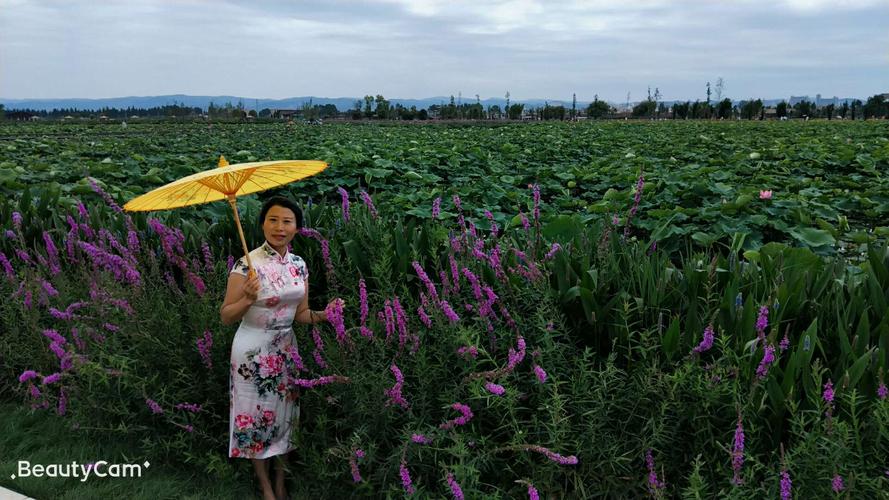 夸景美人美的幽默句子（夸奖景美人更美的唯美句子）