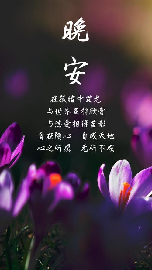 关于下雨天早安的句子（心情因雨更美好）