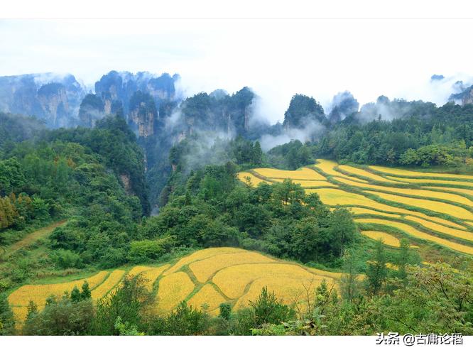 有关大山里的美景唯美句子的短句（大山里的唯美景色）