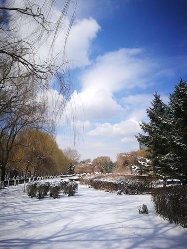 赞美春天雪的句子大全（探寻春天雪景的神秘魅力）