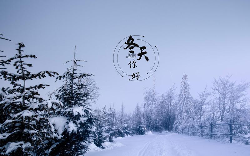 适合形容冬天雪景的诗句（《冬日银装，雪花飘洒》——唯美雪景诗句）