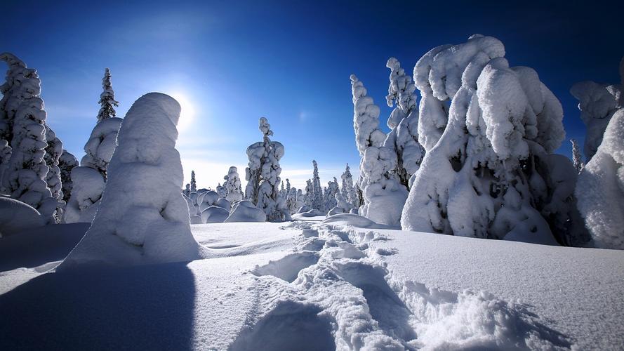 适合形容冬天雪景的诗句（《冬日银装，雪花飘洒》——唯美雪景诗句）