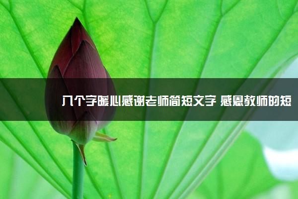 家长感谢老师语录句句经典语录（爱在心间）