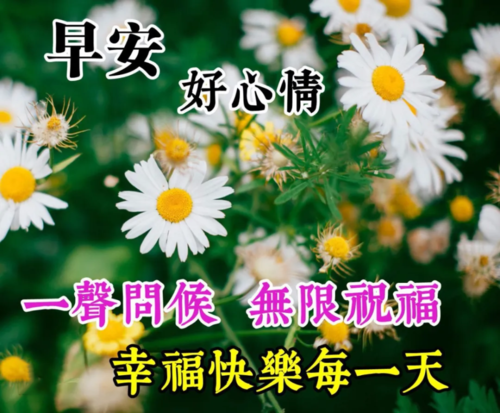 早上问好的幽默短句（问候的艺术——幽默唯美问早上好句子）