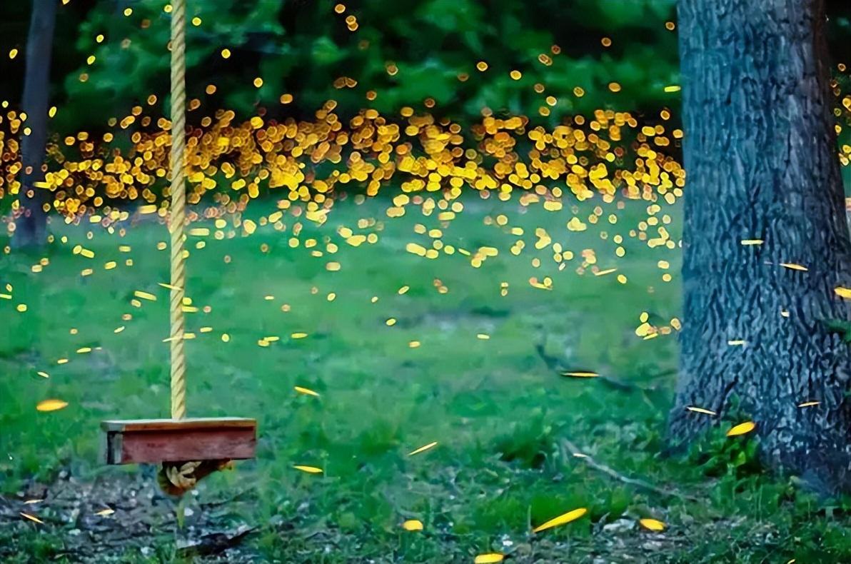 夏夜经典诗词鉴赏（十二首描写夏夜的诗词）