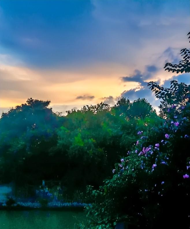 夏夜经典诗词鉴赏（十二首描写夏夜的诗词）